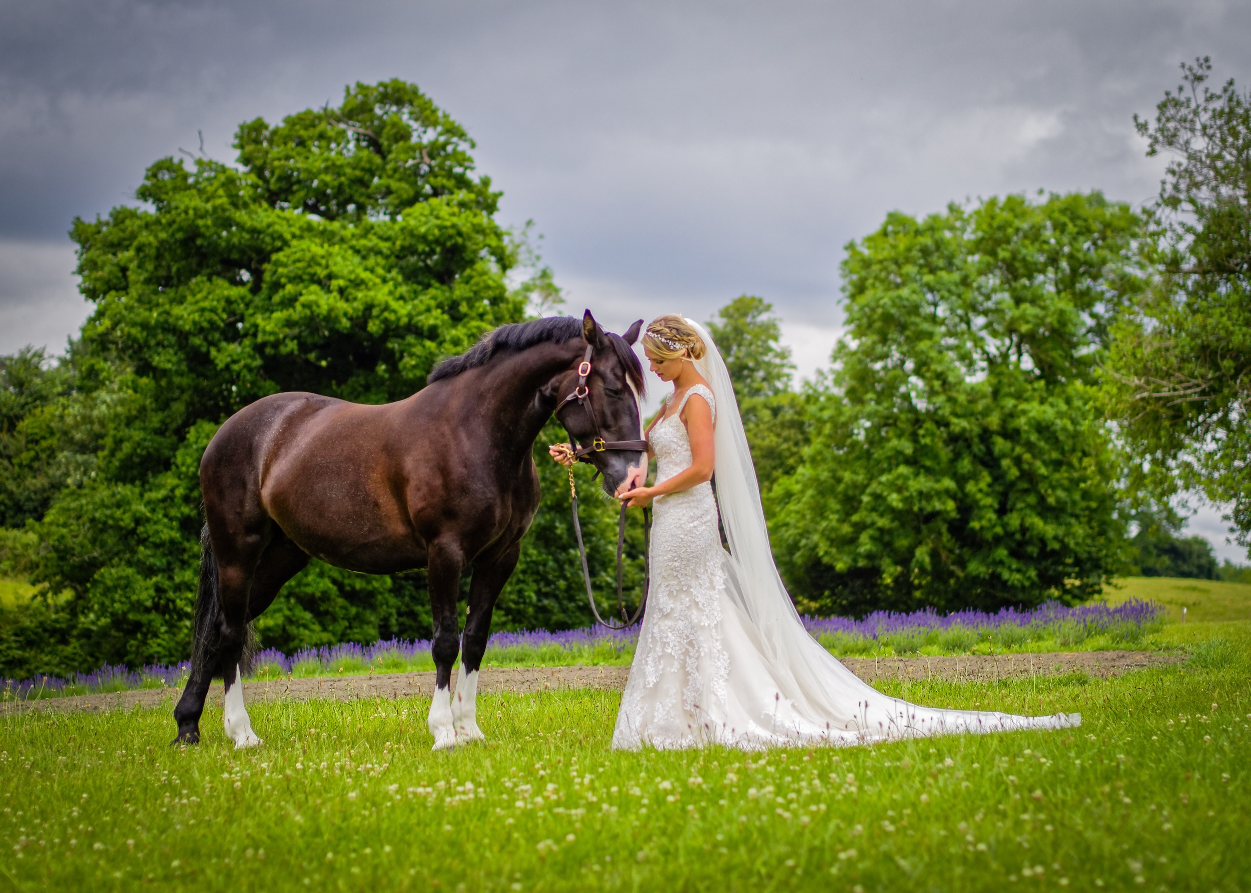 Bride standing beside a horse in a meadow